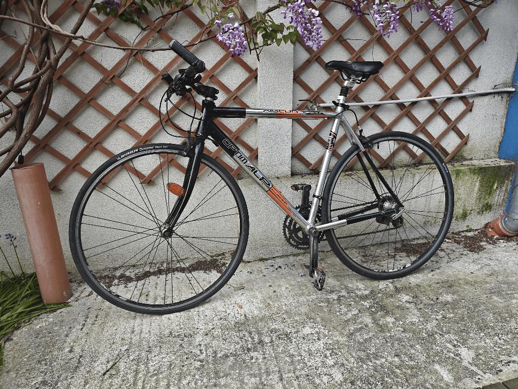 Optimalp-fiets, Fietsen en Brommers, Gebruikt, Velgrem, Versnellingen, 53 tot 57 cm