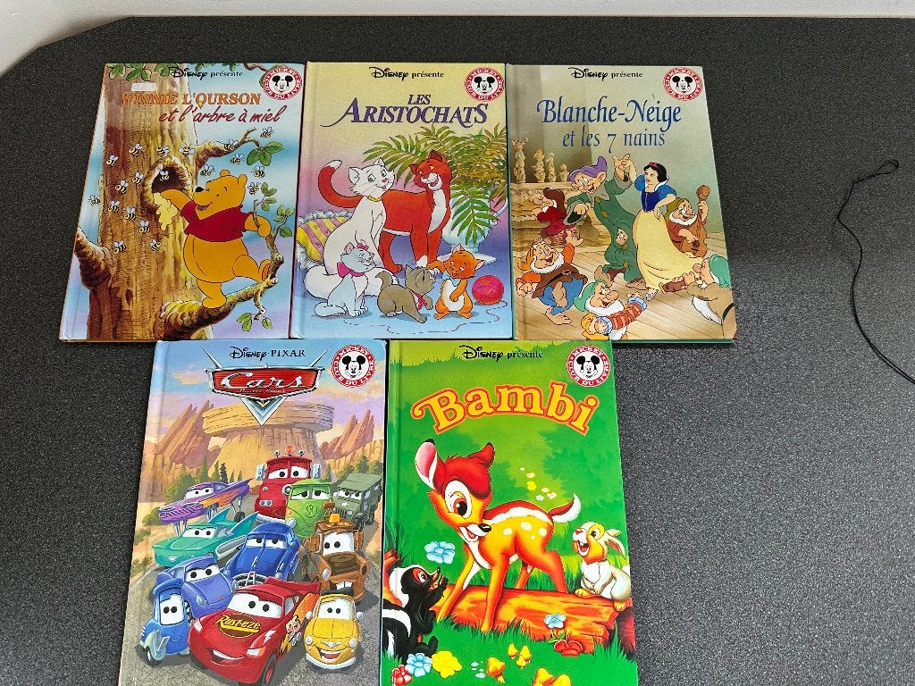 5 livres Disney en très bon état, Enlèvement ou Envoi, Utilisé, 3 à 4 ans