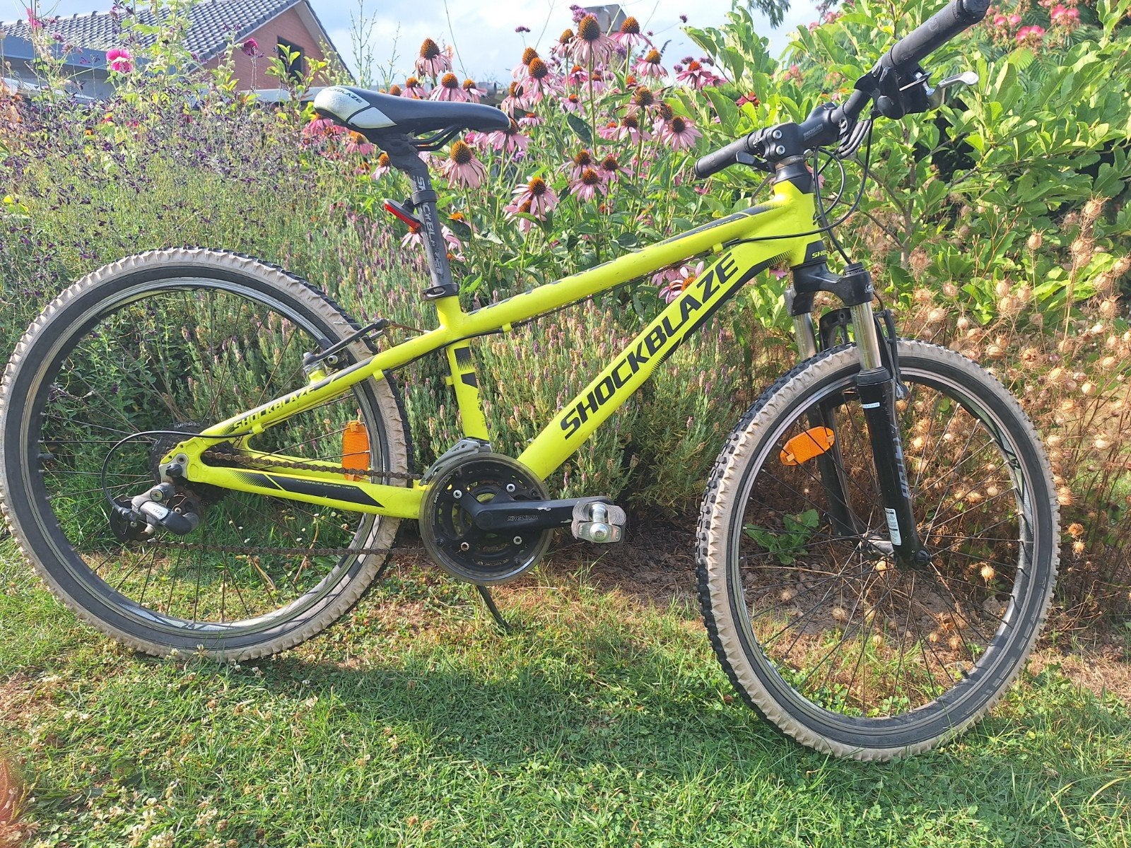 Shockblaze warrior, Gebruikt, Hardtail, Velgrem, Ophalen
