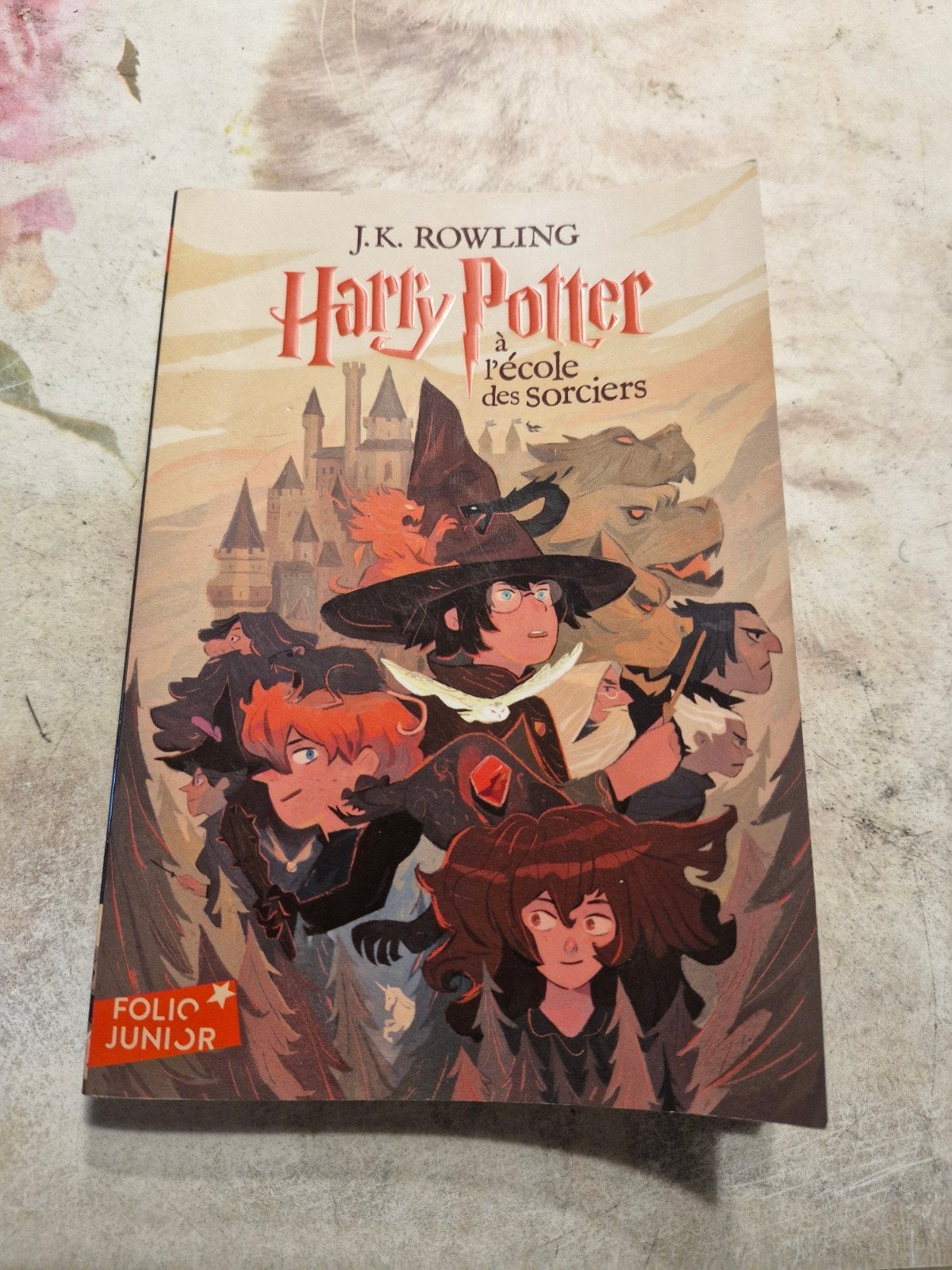 livre harry potter a lecole des sorciers en bonne etat, Enlèvement ou Envoi, Comme neuf