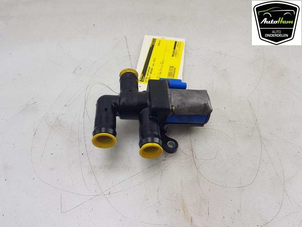 EXTRA EAU POMPE Arkana (RJLL) (|12301538R|212301538R|), Autos : Pièces & Accessoires, Climatisation & Chauffage, Renault, Utilisé