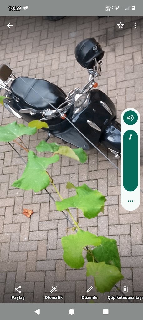 Benzou 125 cc, Vélos & Vélomoteurs, Scooters | Marques Autre, 125 cm³, Borsalino, Classe B (45 km/h), Enlèvement