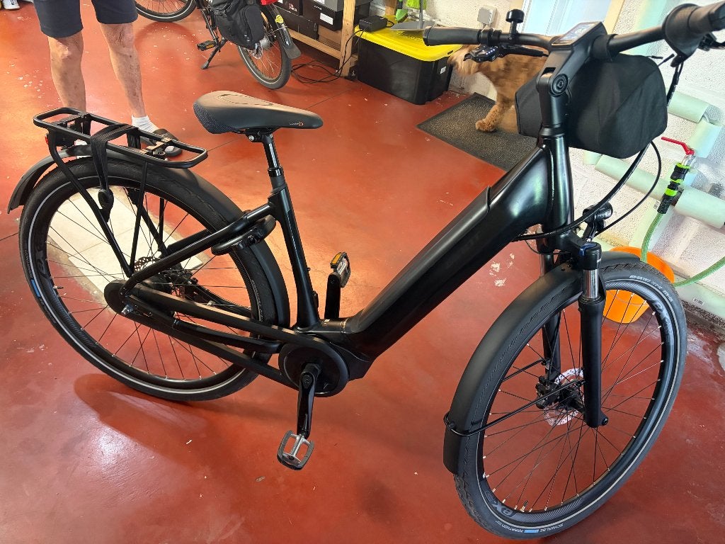 Elektrische fiets, Ophalen, Giant, Zo goed als nieuw, 51 tot 55 cm