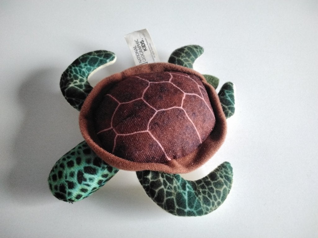 Kleine NATIONAL GEOGRAPHIC-zeeschildpad /NINE (12 cm), Verzamelen, Ophalen of Verzenden, Nieuw, Reptiel of Amfibie, Beeldje of Figuurtje