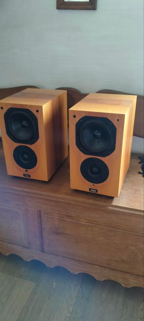 Chario boekenplank luidsprekers made in italy, Audio, Tv en Foto, Luidsprekerboxen, Ophalen