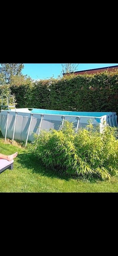 Intex zwembad, Ophalen, Gebruikt, 200 tot 300 cm, 80 tot 120 cm