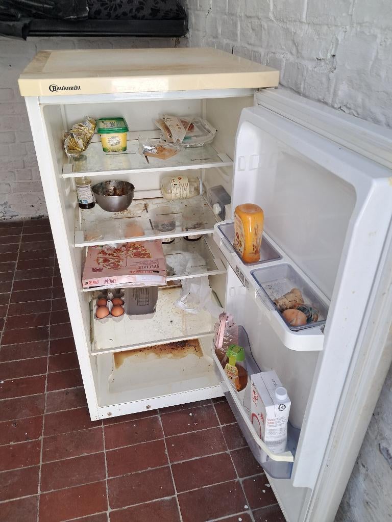 GRATIS frigo in Asse, Elektronische apparatuur, Ophalen, Gebruikt, Vrijstaand