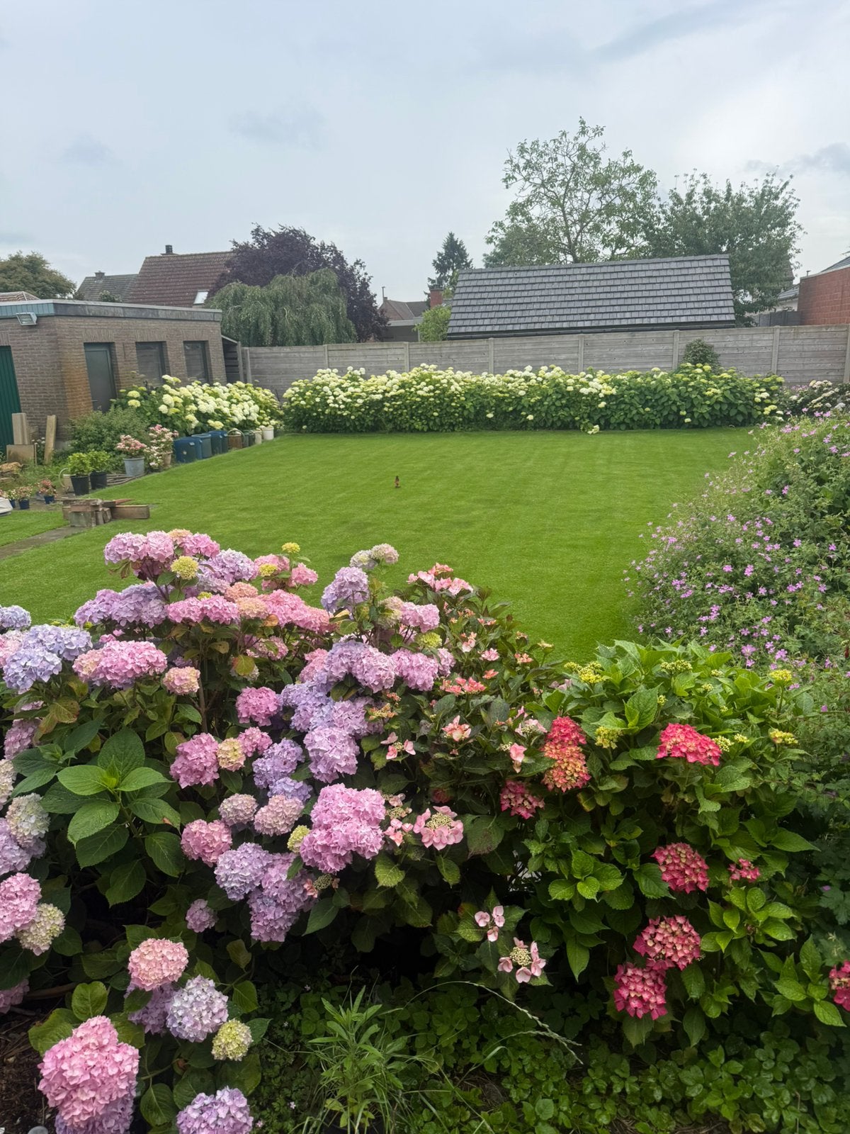 Tuin en onderhoud,maaien,scheren,bomen snoeien,terras maken., Tuin en Terras, Ophalen of Verzenden