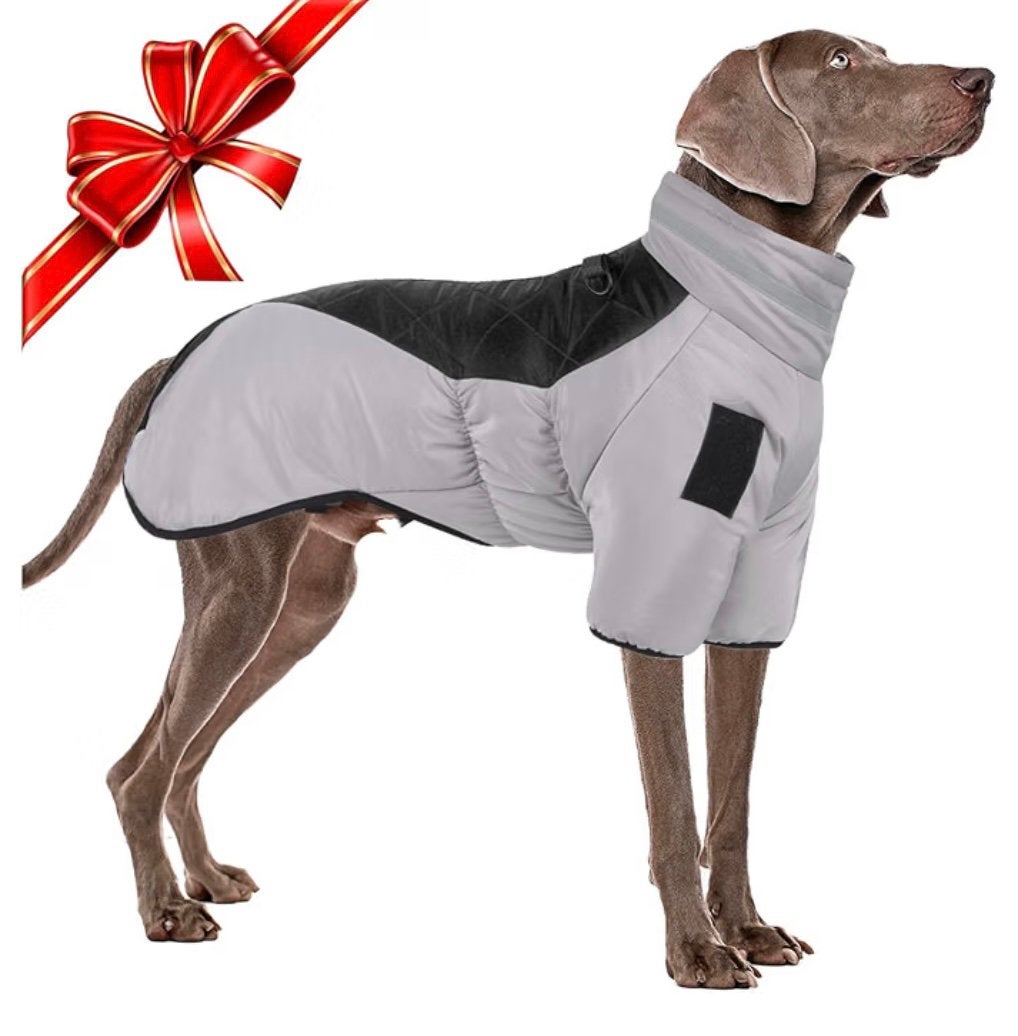 Manteau pour chiens, Enlèvement, Comme neuf, Imperméable