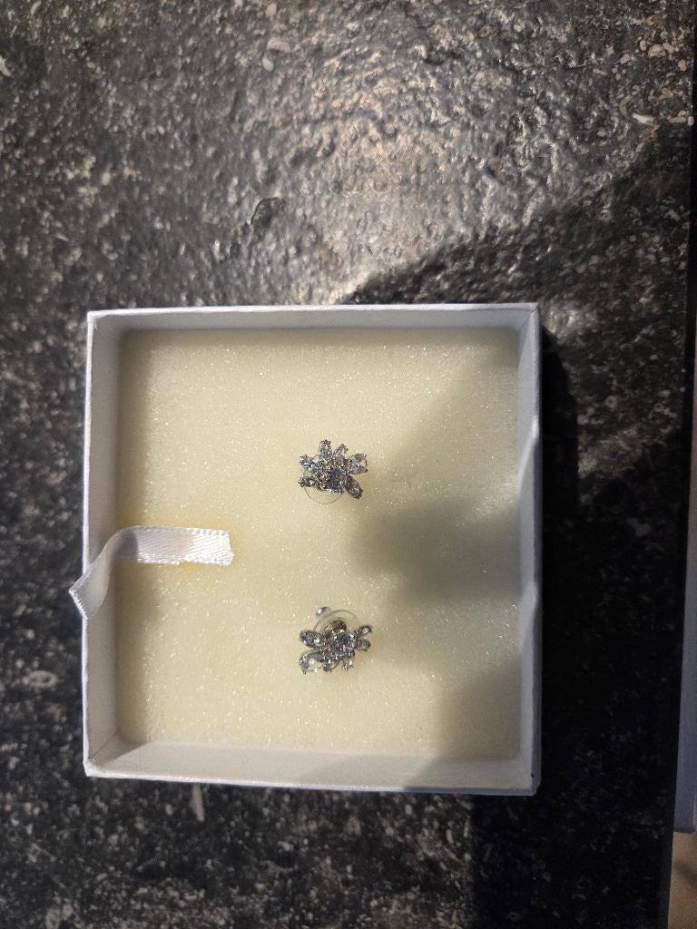 Juwelen set, Overige materialen, Zo goed als nieuw, Zilver, Ophalen