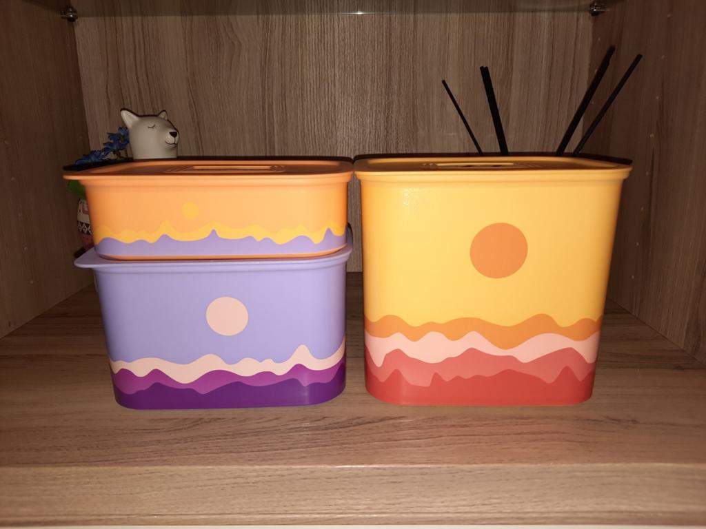Boîtes de conservation tupperware, Enlèvement