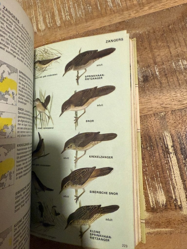 De Europese vogels in kleur, gids voor alle vogels van Euro, Gelezen, Ophalen of Verzenden, H. Heinze, R.S.R. Fitter, J.F. Parslow