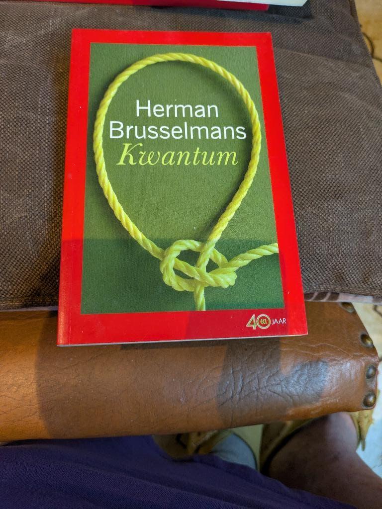 Kwantum, Boeken, België, Herman Brusselmans, Ophalen of Verzenden, Zo goed als nieuw
