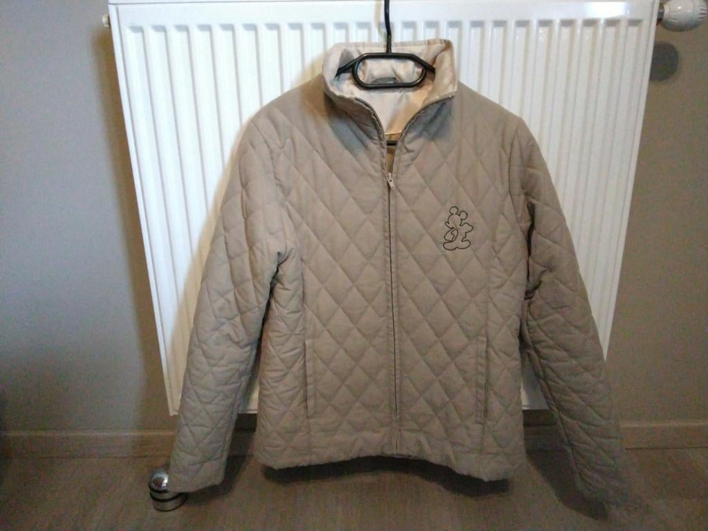 Veste vert clair/beige pour femme taille M, Enlèvement, Taille 48/50 (M), Beige