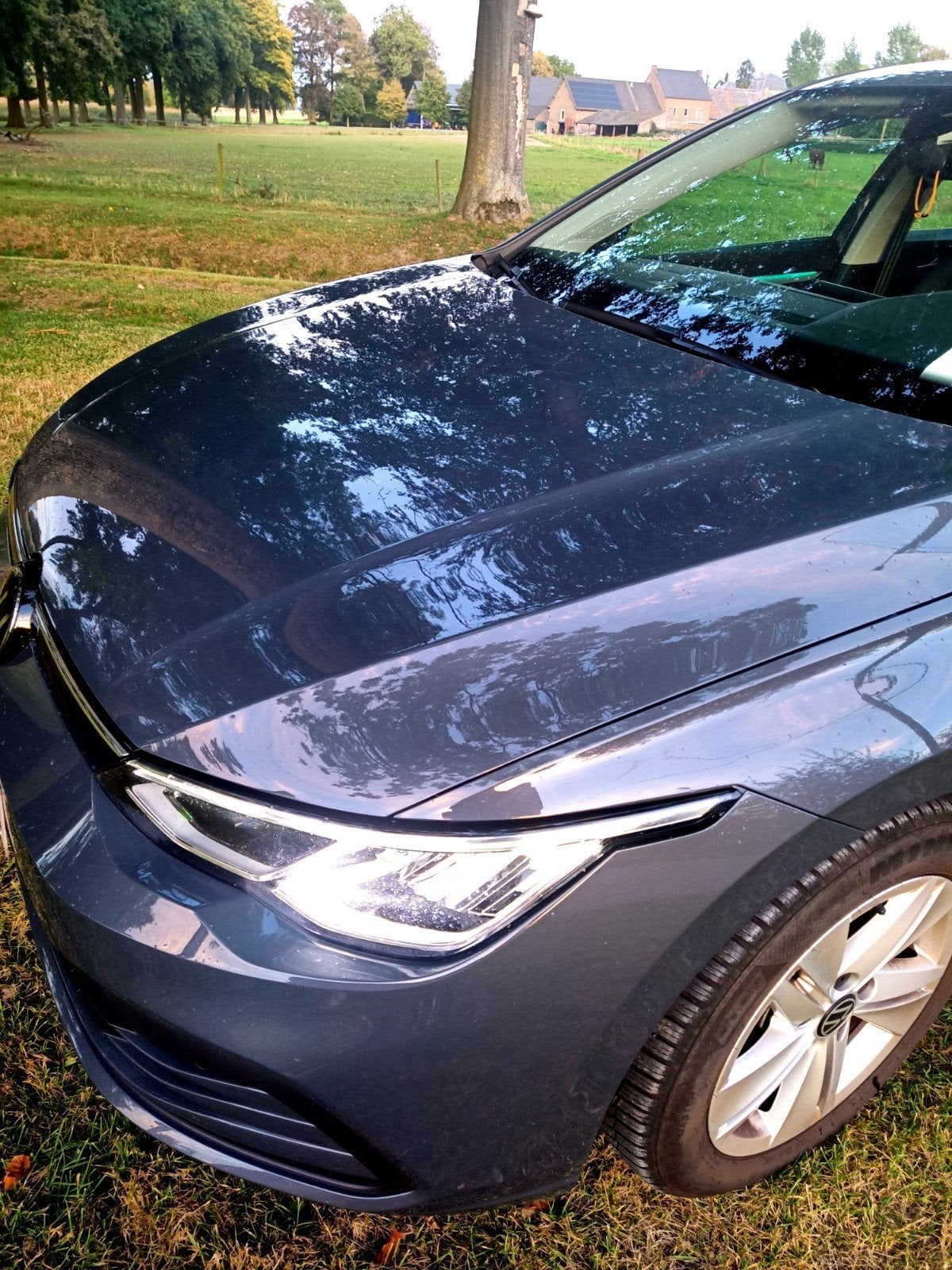 Volkswagen Golf 8 Te, Autos, Argent ou Gris, Achat, Euro 6, 5 portes