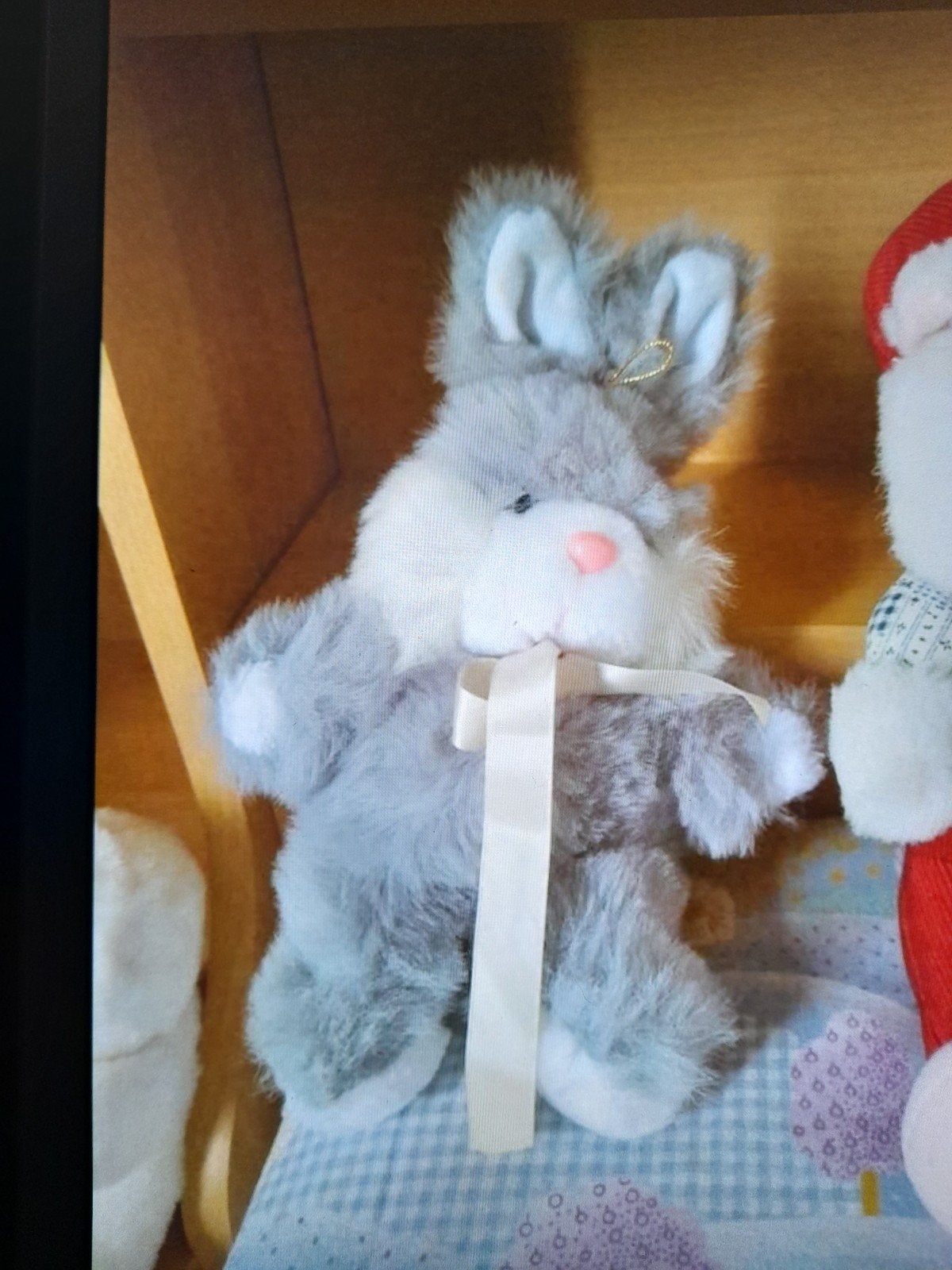 Mooi grijs konijn met witte voeten, handen, mond en roze neu, Grijs, Konijn, Zo goed als nieuw, Middelgroot (20 tot 80 cm)