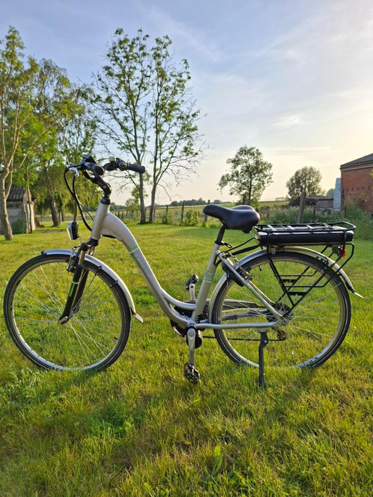 Elektrische fiets - Formula E8000 CTB, Ophalen