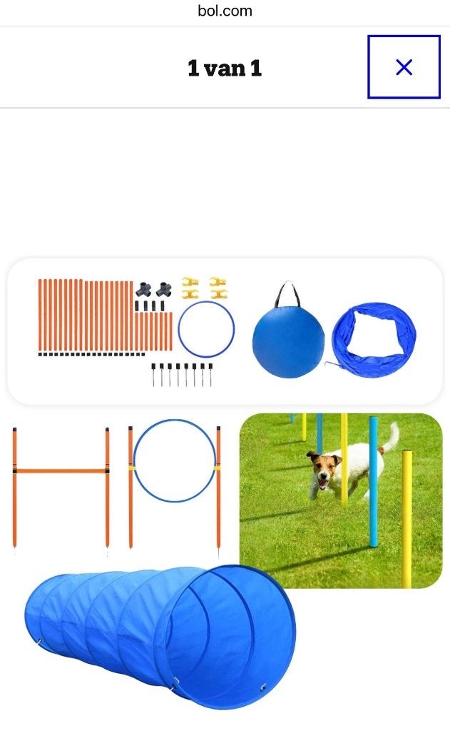 Agility set voor honden, Dieren en Toebehoren, Overige merken, Ophalen, Zo goed als nieuw, Hondenspeelgoed