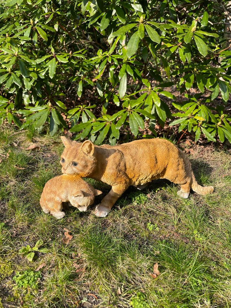 Poes, kat, bruin, tuin, gazon, kitten, boerderij 50cm, Ophalen of Verzenden, Nieuw, Kunststof, Dierenbeeld