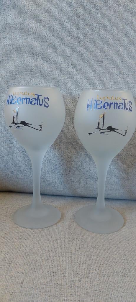2 hibernatusglazen 15cl, Verzamelen, Biermerken, Ophalen of Verzenden
