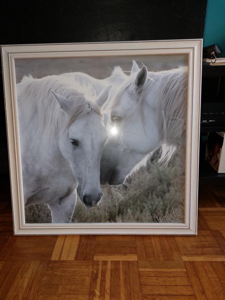 Cadre Cheval, Antiquités & Art, Enlèvement