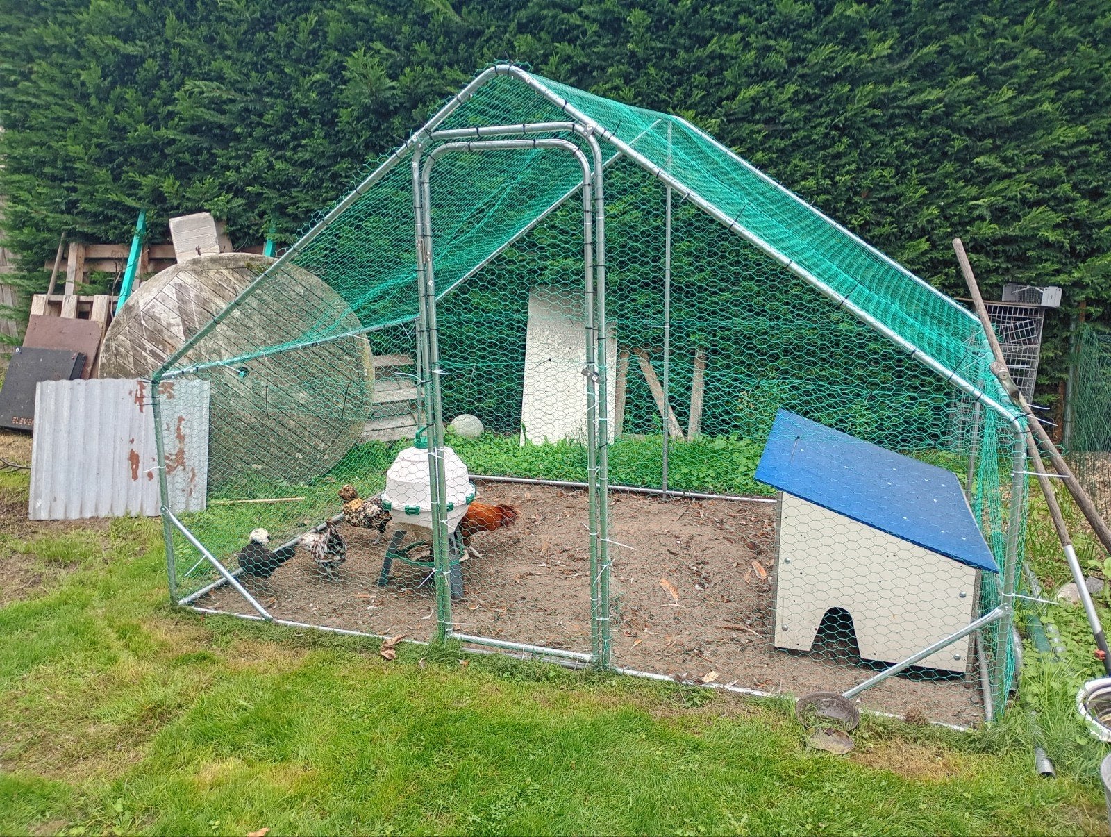 kippenren, Dieren en Toebehoren, Ophalen, Nieuw, Kippenhok of Kippenren