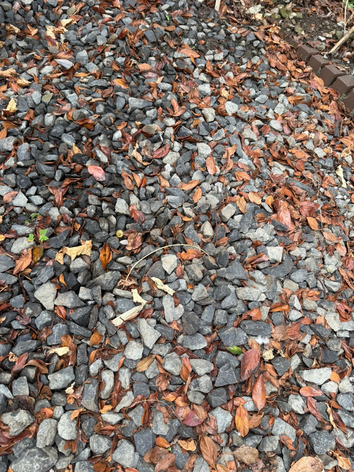 Overschot kiezel blauw gratis, Tuin en Terras, Grind, Keien en Split, Ophalen, Zo goed als nieuw, Blauw