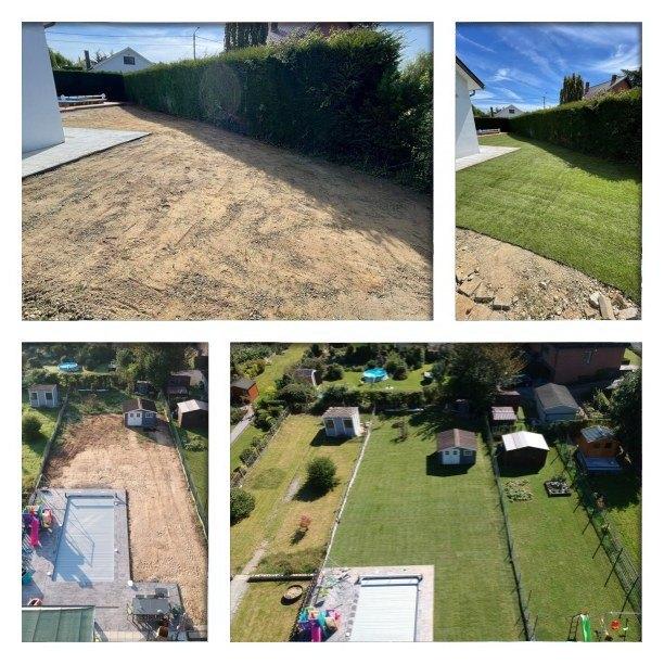 gazon en rouleaux, Enlèvement, Neuf, 20 m² ou plus, Herbe