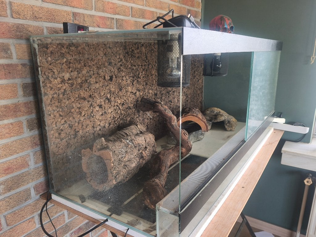 Terrarium 120 cm, Dieren en Toebehoren, Ophalen, Zo goed als nieuw, Terrarium of Paludarium