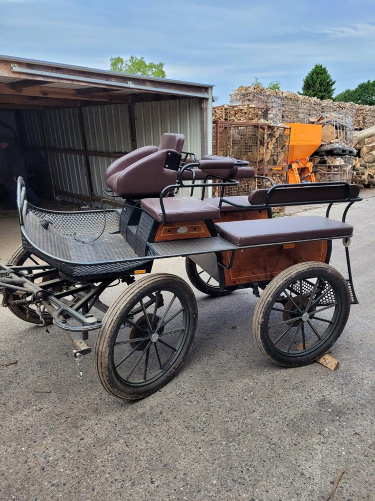 Équitation et calèche, Animaux & Accessoires, Utilisé, Wagonette, Cheval