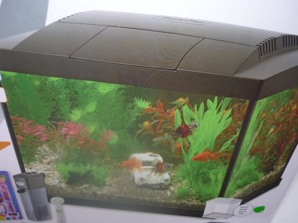 aquarium super fish 20 , 30 en 60, Dieren en Toebehoren, Ophalen, Zo goed als nieuw, Inclusief deksel, Superfish