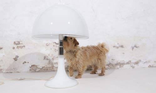 Mid Century Italiaanse Opaalwit Murano Tafellamp, Ophalen