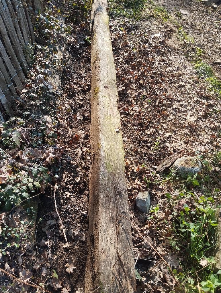 Poutre bois, Poteaux, Bois dur, Enlèvement, Utilisé