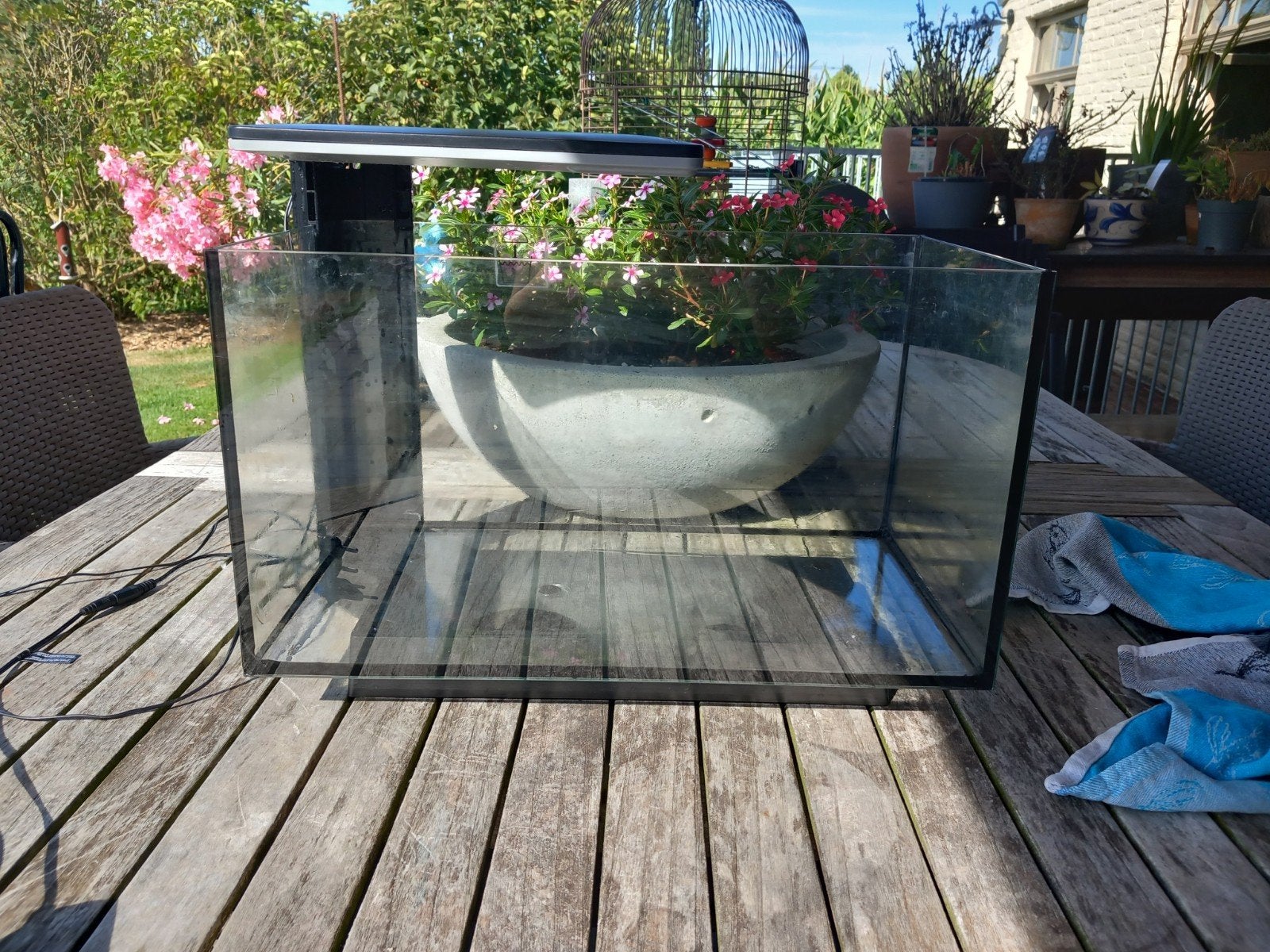 Aquarium Superfish 30 L, Animaux & Accessoires, Enlèvement, Comme neuf, Superfish