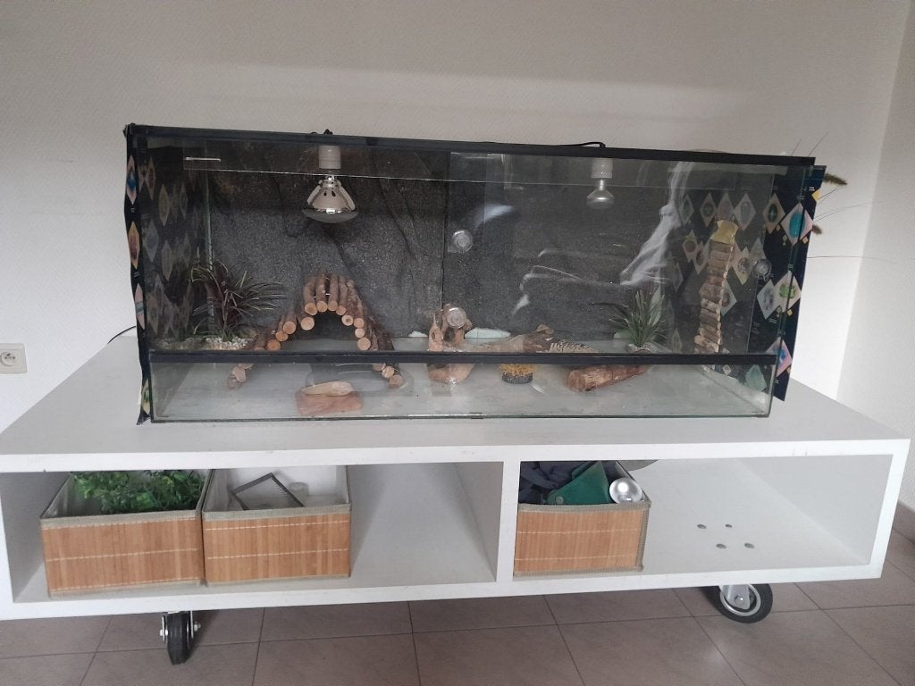 Terrarium met onderkast, Dieren en Toebehoren, Ophalen, Zo goed als nieuw