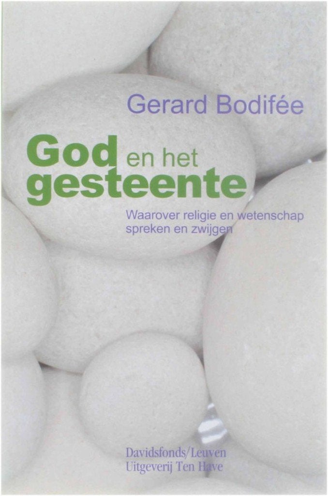 boek: God en het gesteente/Gerard Bodifée, Ophalen of Verzenden, Gelezen