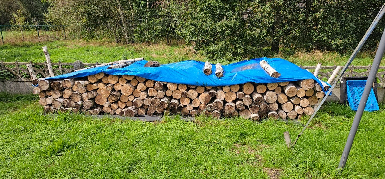 3 kuub brandhout, 3 à 6 m³, Enlèvement, Bouleau, Troncs d'arbres