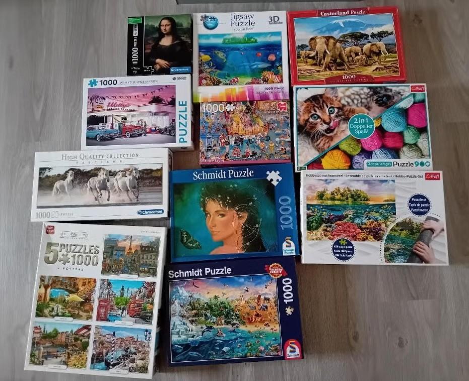 Puzzels, Hobby & Loisirs créatifs, Sport cérébral & Puzzles, Enlèvement, 500 à 1500 pièces, Utilisé, Puzzle
