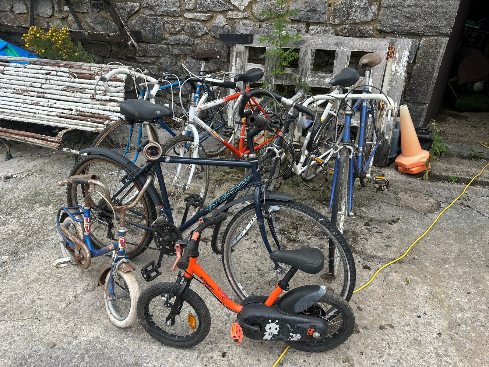 Ancien velo, Enlèvement