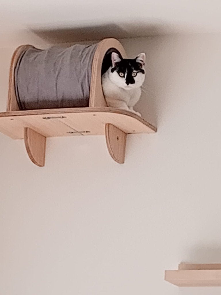 Klimmuur kat, Enlèvement ou Envoi, Comme neuf