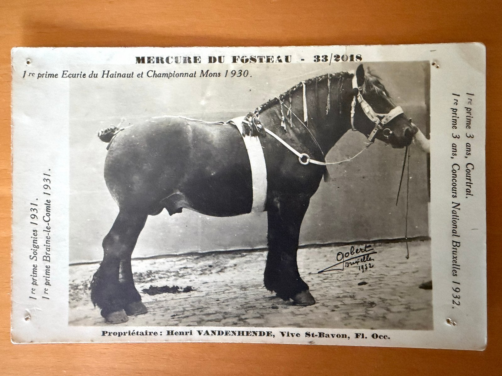 Lauréat du prix Draft Horses 1930, Collections, Photos & Gravures, Enlèvement ou Envoi, Avant 1940, Photo, Utilisé