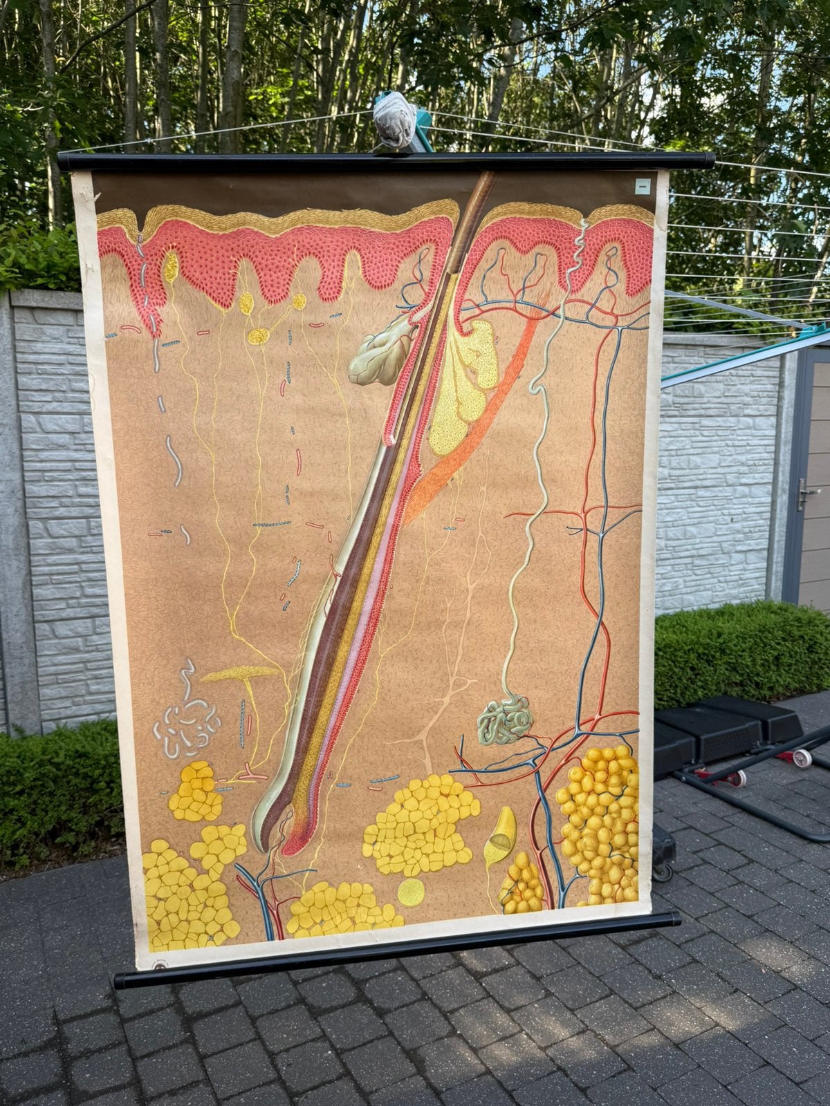 Vintage schoolplaar op linnen De huid, Ophalen of Verzenden