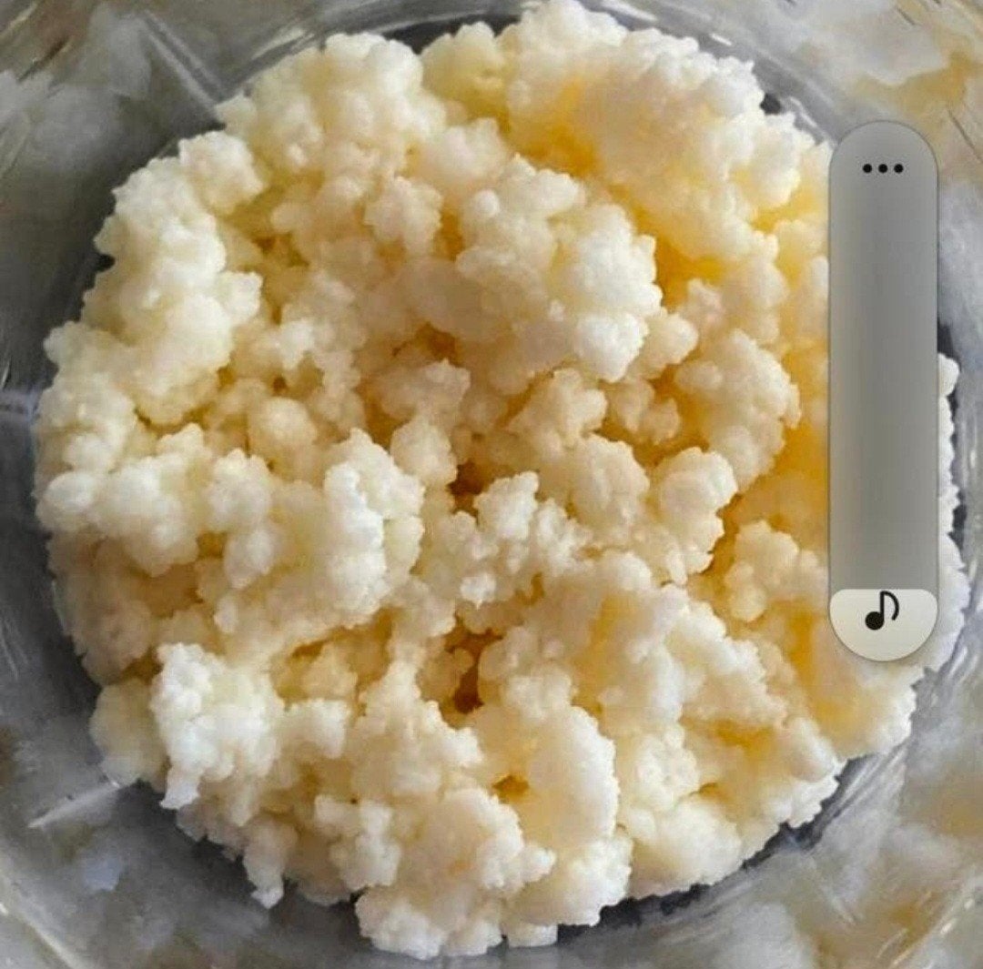 Melk kefir, Ophalen