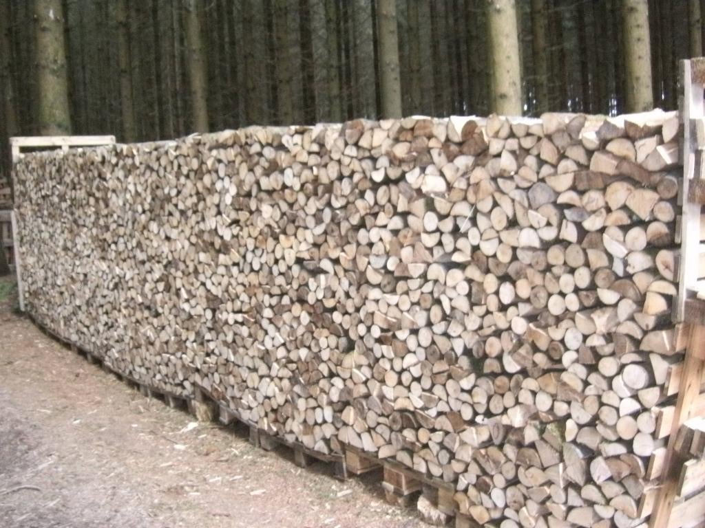Bois de chauffage en 33 cm, Jardin & Terrasse, Moins de 3 m³, Enlèvement, Bouleau, Bûches
