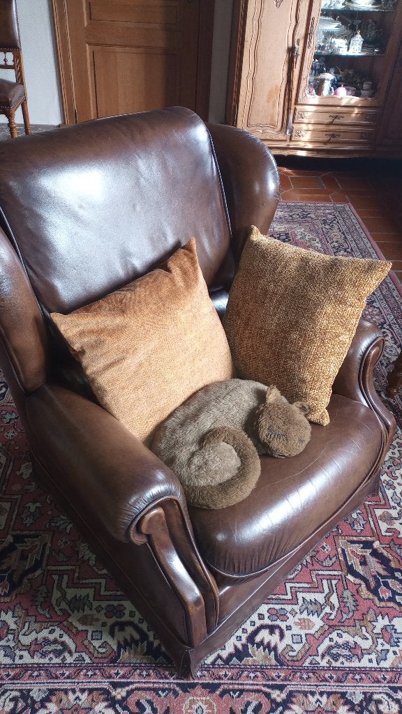 lederen salon, Huis en Inrichting, Ophalen, Zo goed als nieuw, Leer