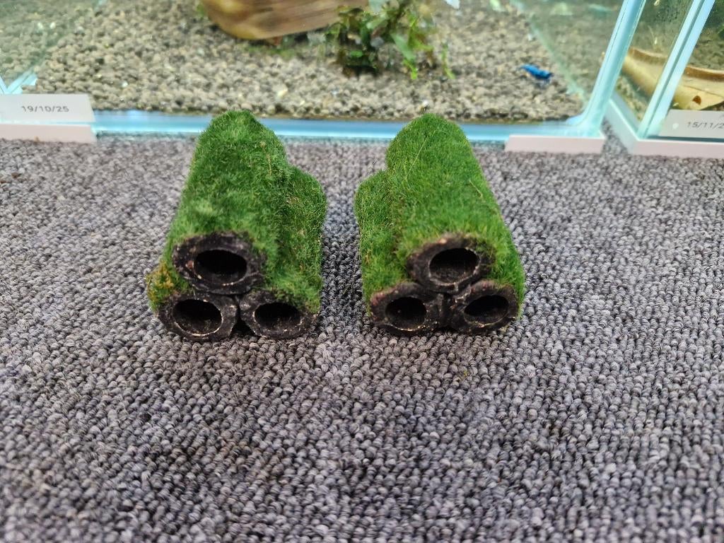 Garnalenflat met mos. 2st., Dieren en Toebehoren, Vissen | Aquaria en Toebehoren, Ophalen, Zo goed als nieuw, Decoratie, Superfish