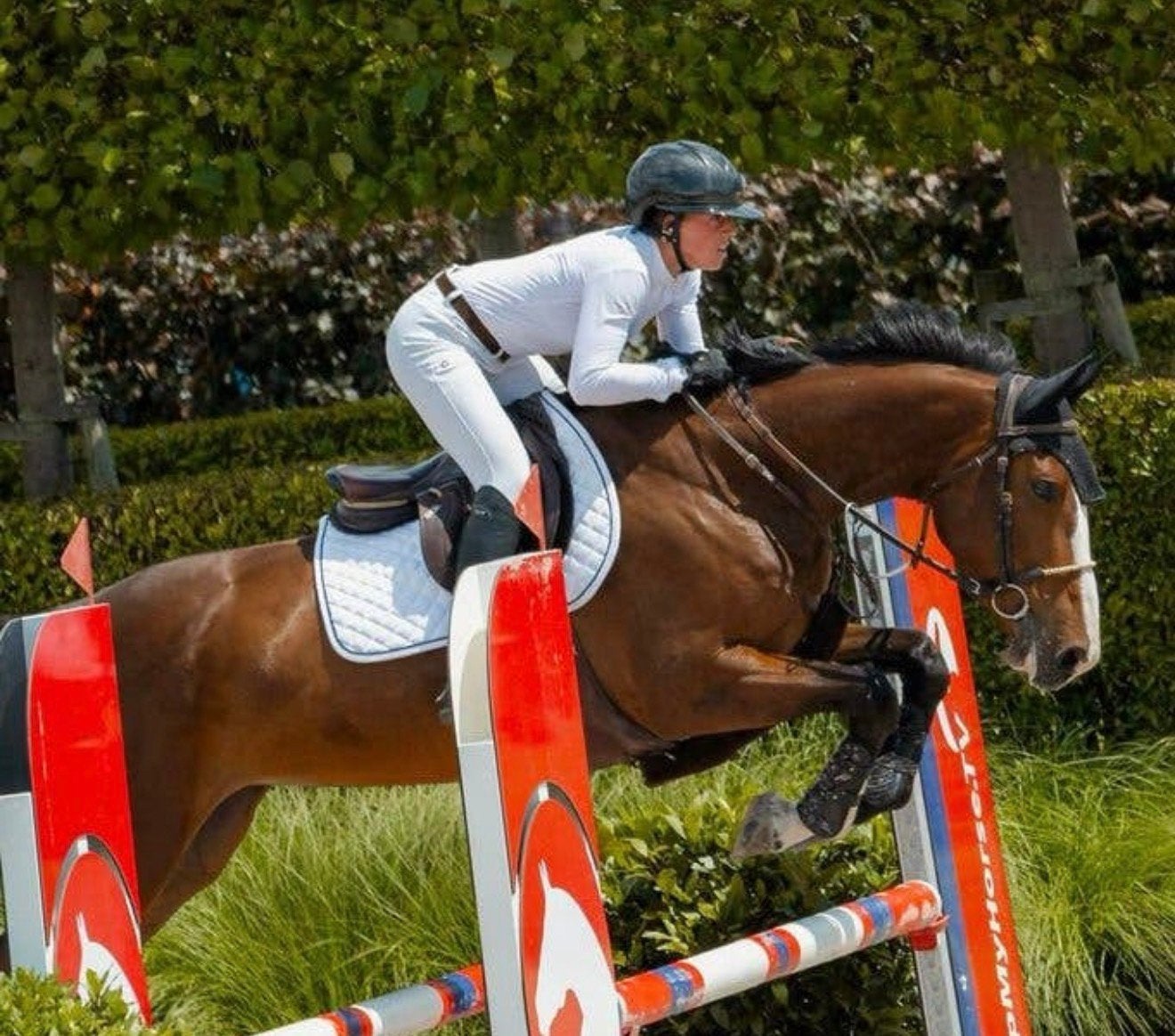 Belle et talentueuse jument de 4 ans, Avec pedigree, M, 160 à 165 cm, Cheval de saut