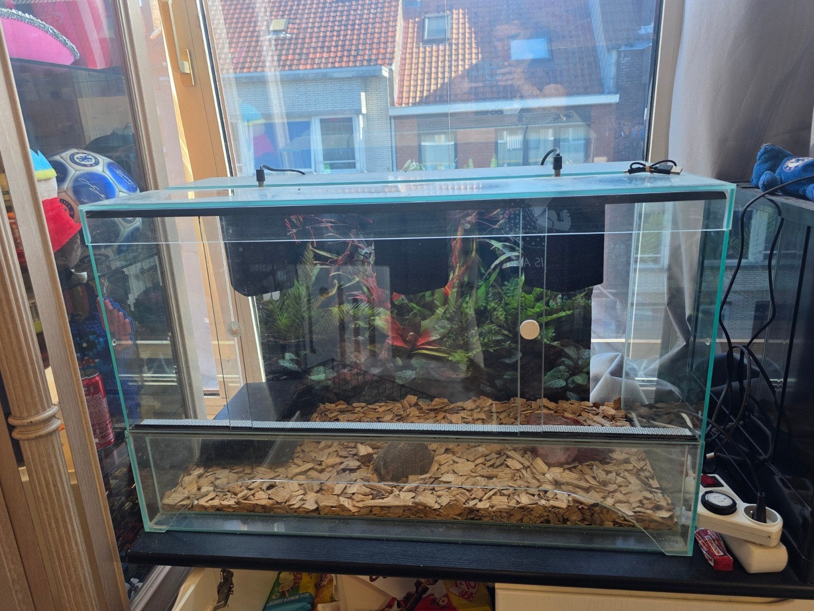 Terauim, Dieren en Toebehoren, Ophalen