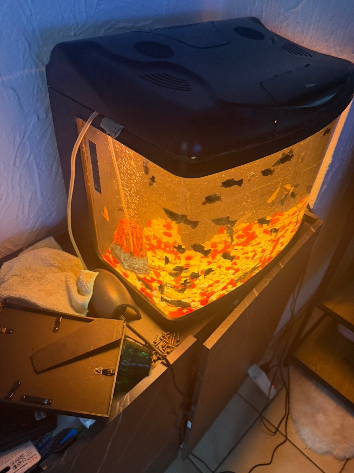 Aquarium te koop, Dieren en Toebehoren, Vissen | Aquaria en Toebehoren, Ophalen of Verzenden, Zo goed als nieuw