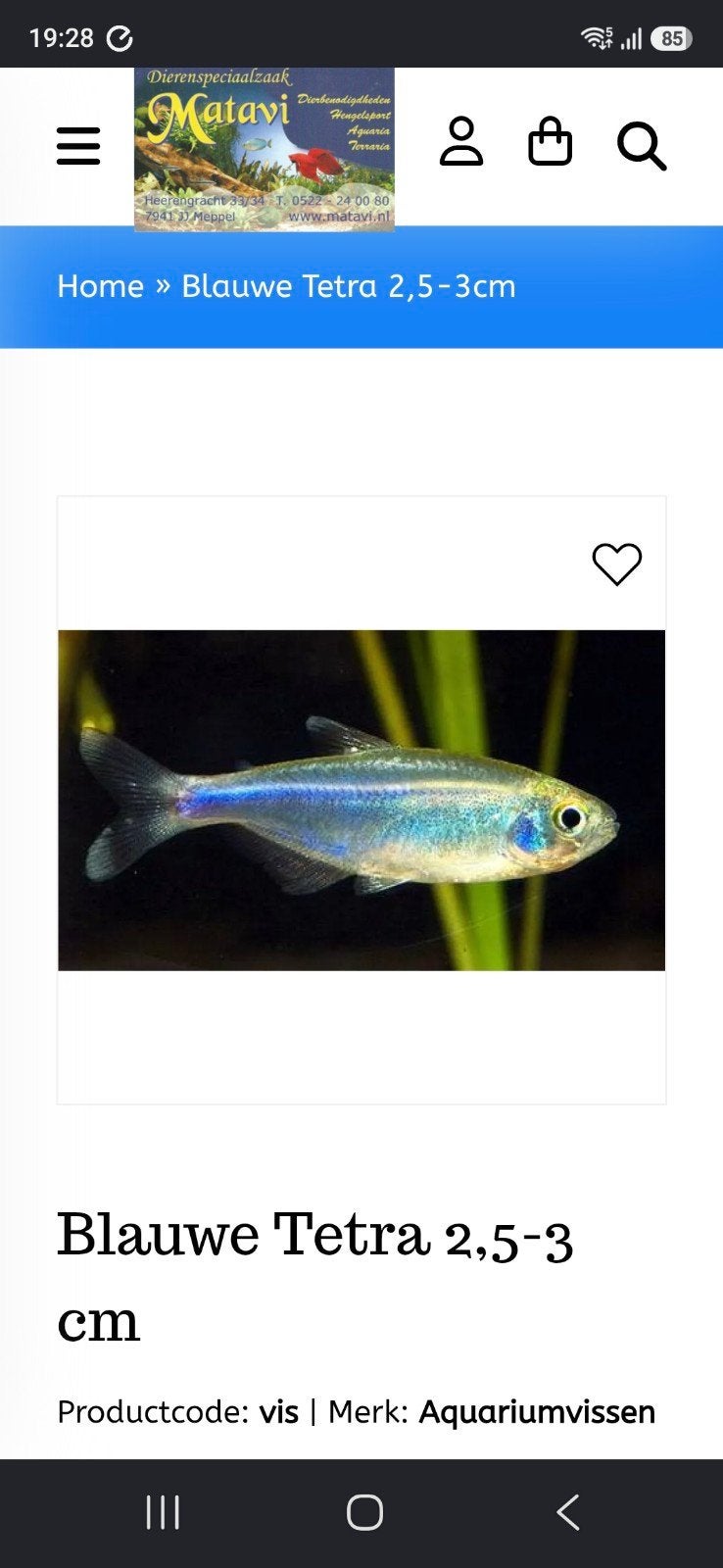 blauwe tetra, Dieren en Toebehoren
